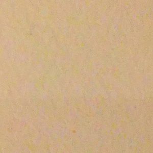 Meet your Posher, Danny